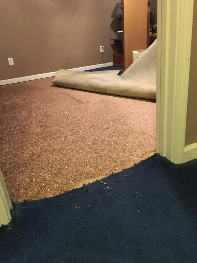 Carpet pad removal revealing water damage during Water Mitigation Services in Raymore