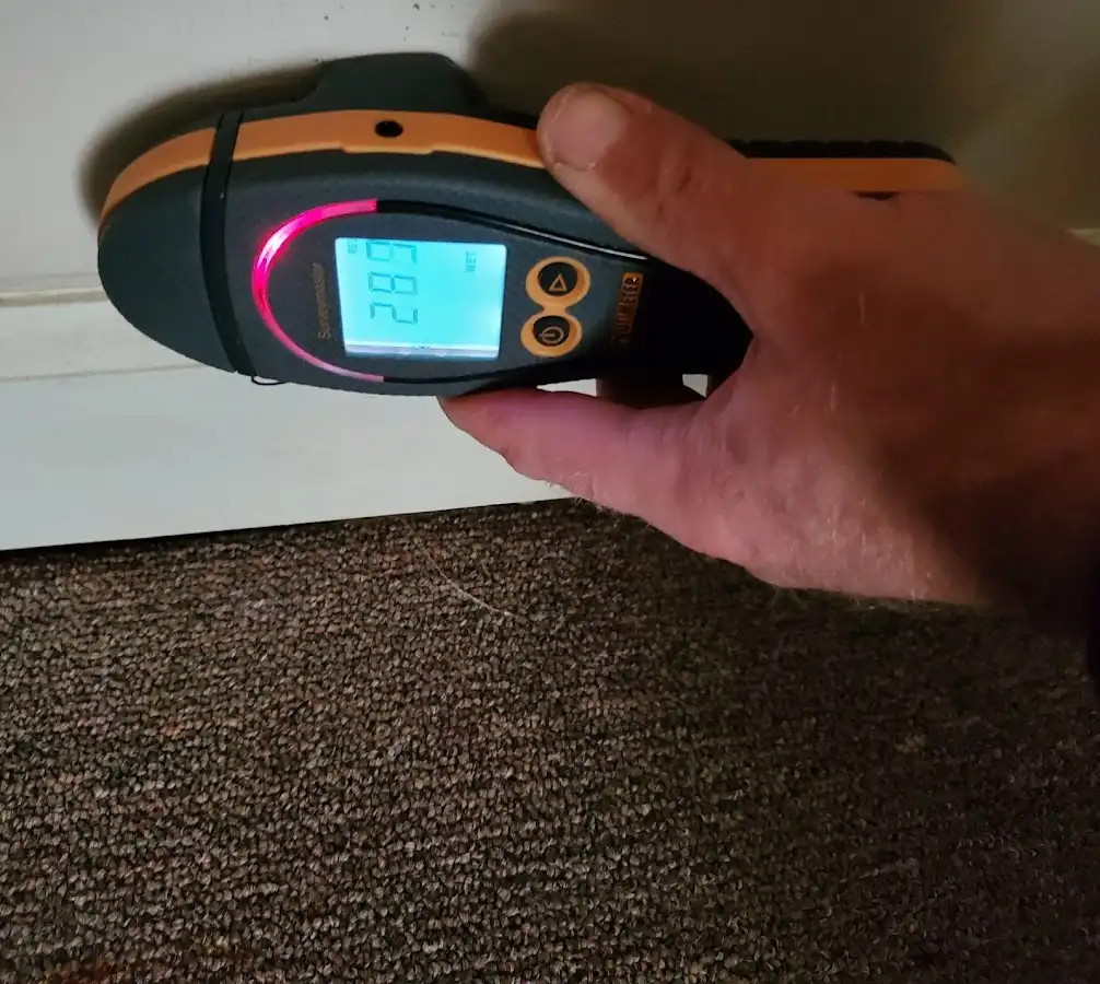 Moisture detection at baseboard during Mold Inspection & Testing in Raymore